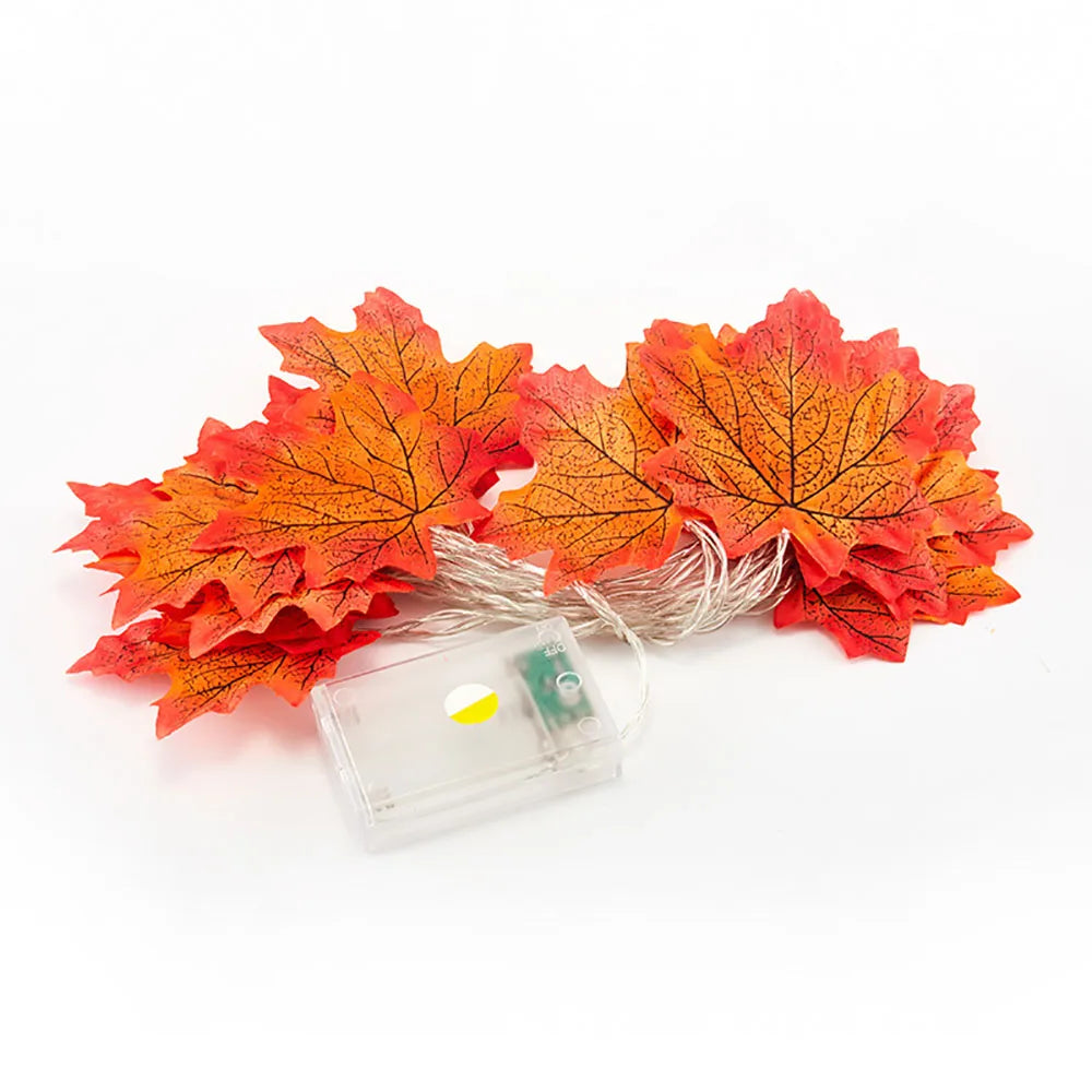 DIY 3D Paper Papercraft Kit – UrbanFolds Papercraft Kit – DIY papercraft kit, front view