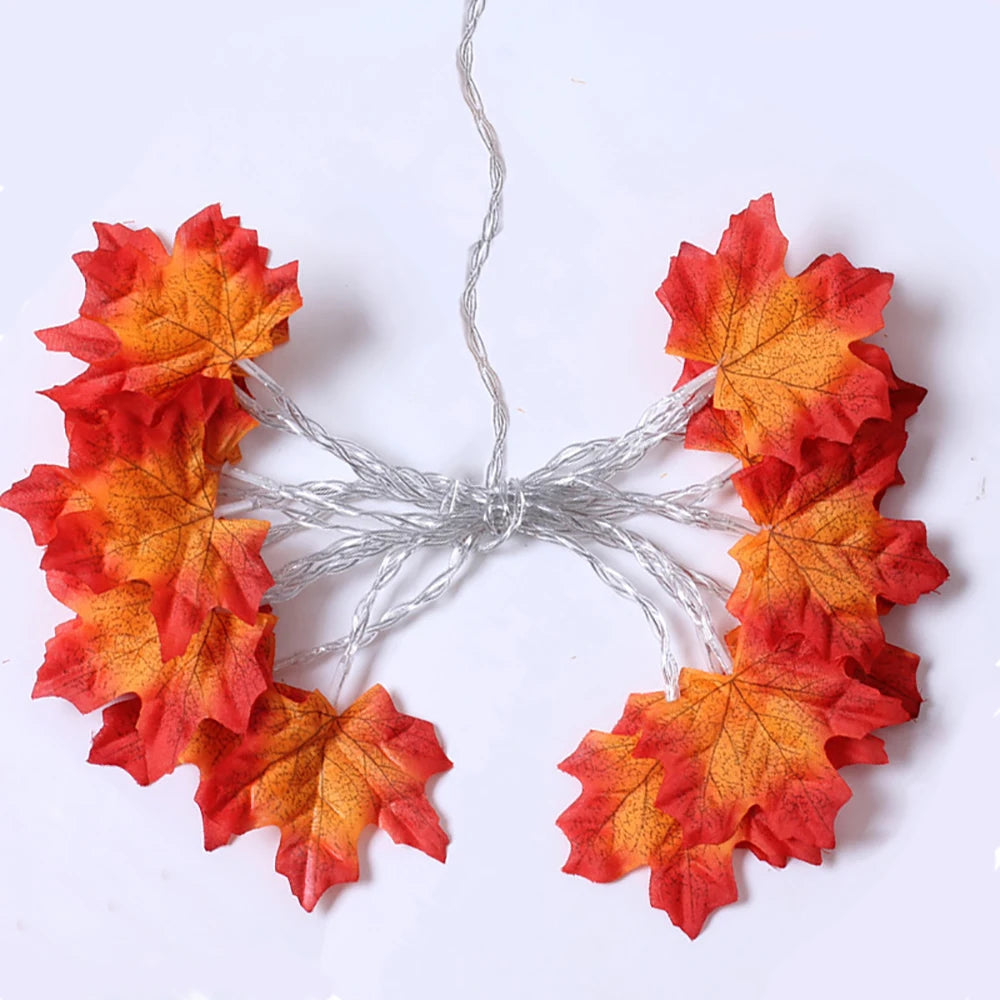 DIY 3D Paper Papercraft Kit – UrbanFolds Papercraft Kit – DIY papercraft kit, front view