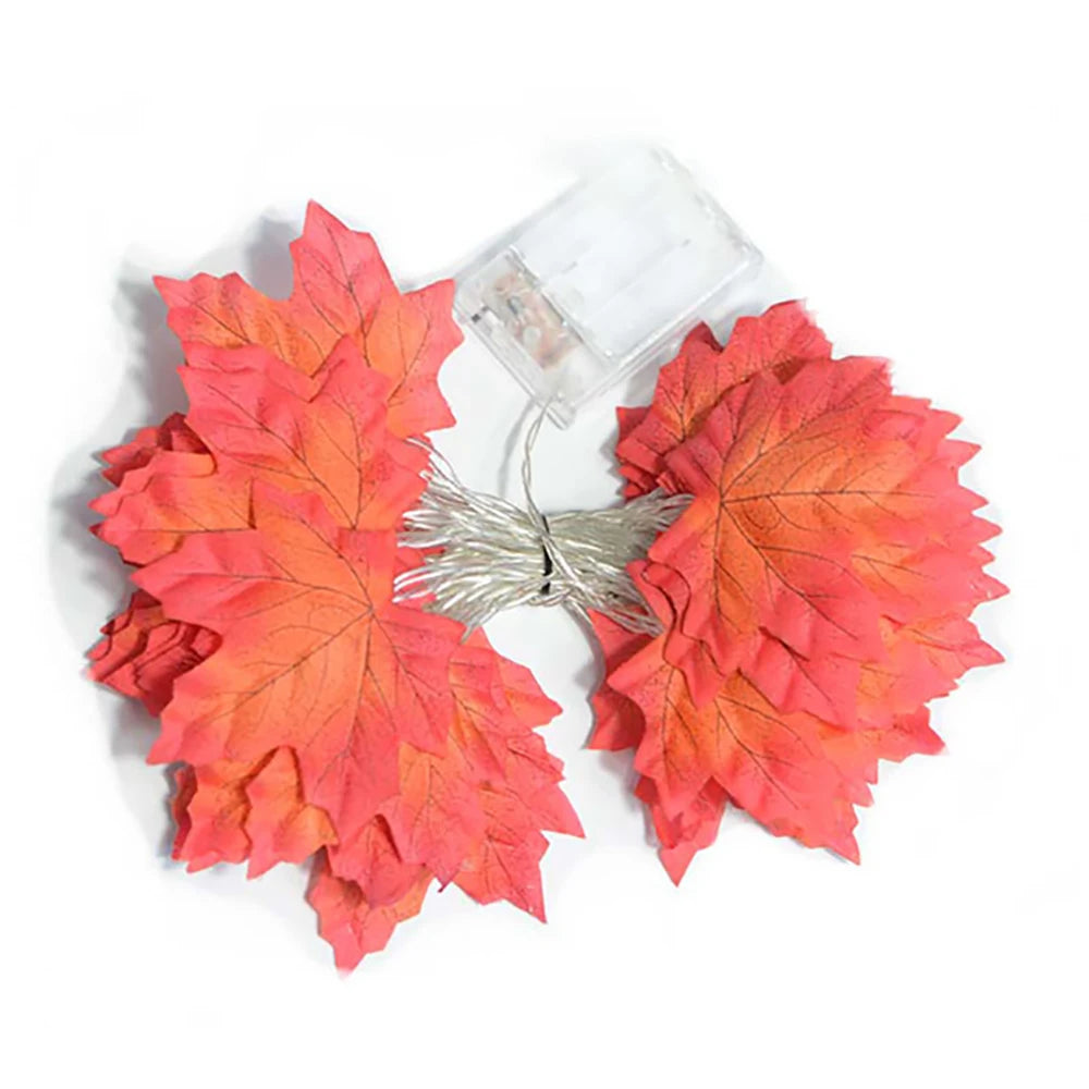 DIY 3D Paper Papercraft Kit – UrbanFolds Papercraft Kit – DIY papercraft kit, package contents
